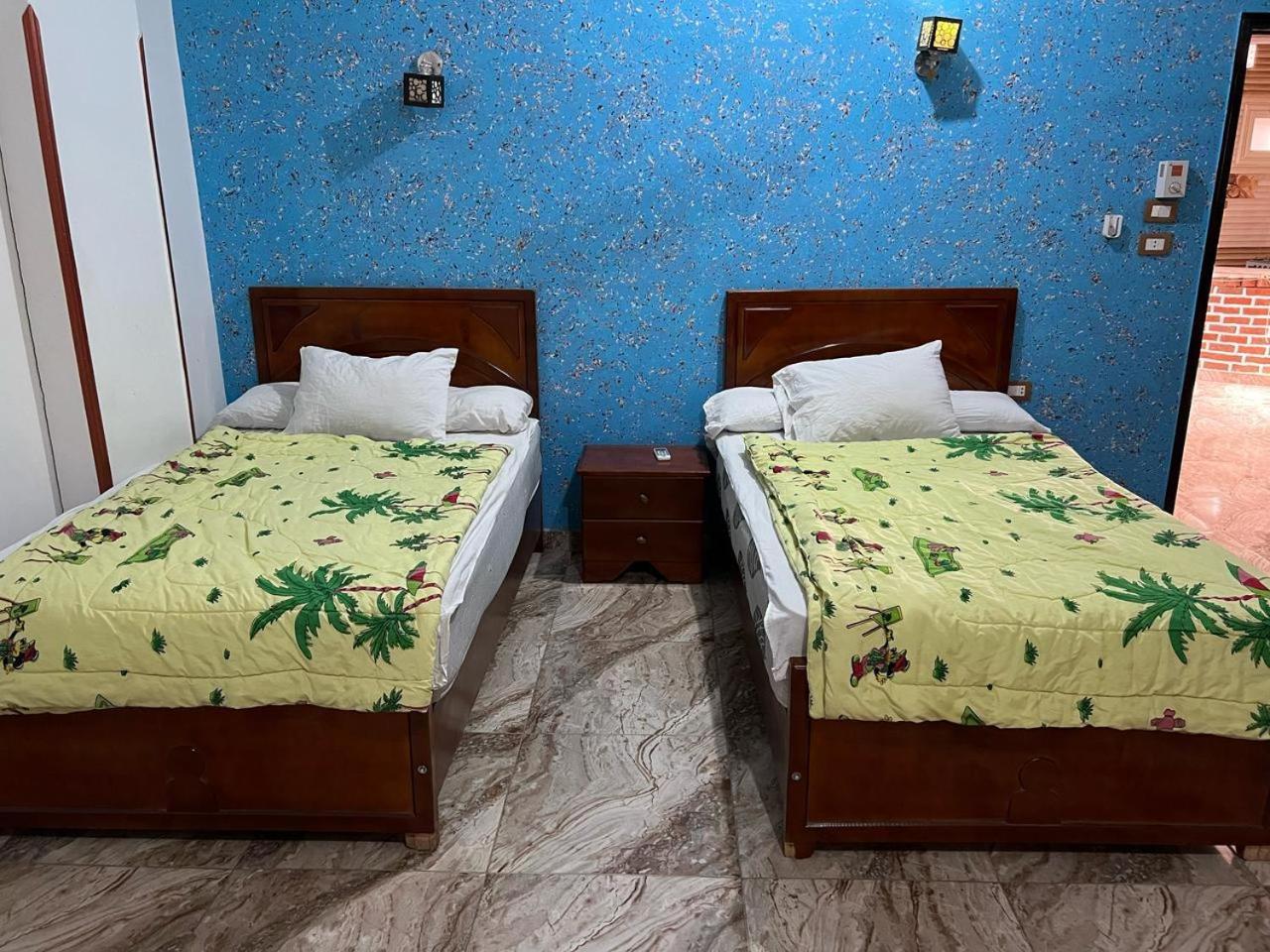 Valley Of The Kings House ルクソール 部屋 写真